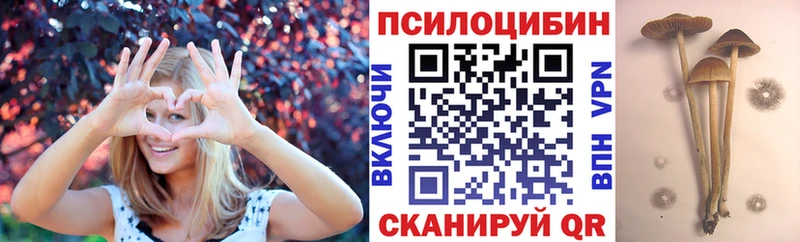 площадка как зайти  Порхов  Псилоцибиновые грибы Magic Shrooms 